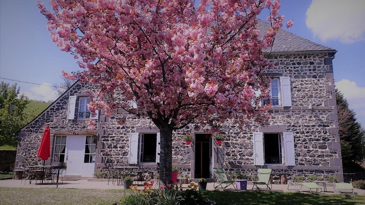 Maison D'Hotes La Nichee Rochefort-Montagne Zewnętrze zdjęcie